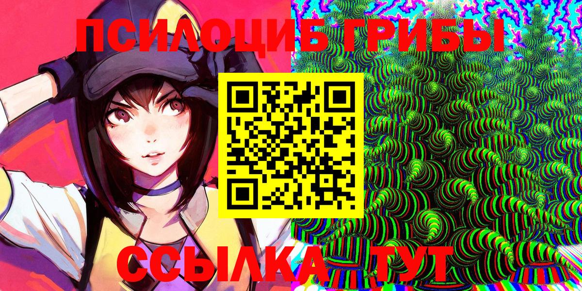 Галлюциногенные грибы Psilocybe  где купить наркоту  Гагарин  Вход с VPN 